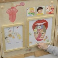 MASTERKIDZ Tablica Edukacyjna Zmysł Wzroku