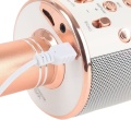 MIKROFON KARAOKE BEZPRZEWODOWY GŁOŚNIK BLUETOOTH ROSE GOLD WS-858