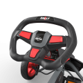 BERG Gokart na Pedały RALLY APX Red BFR-3 4-12 lat do 60 kg