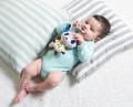 TINY LOVE TINY SMARTS ZAWIESZKA POZYTYWKA PIESEK HUSKY ROB TL11166