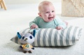 TINY LOVE TINY SMARTS ZAWIESZKA POZYTYWKA PIESEK HUSKY ROB TL11166