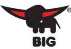 BIG